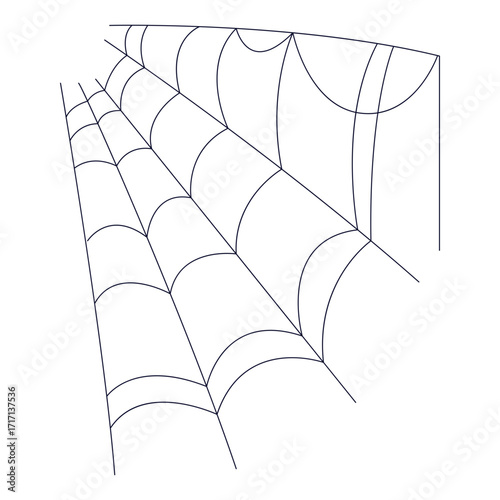 Spider Web Illustration