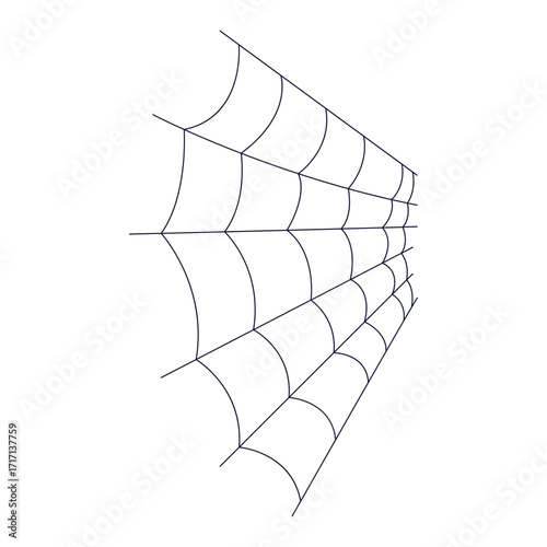 Spider Web Illustration