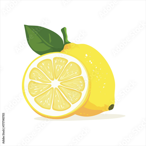 Fresh lemon fruit illustration.  A whole lemon and a slice, with leaves