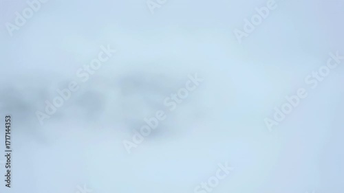 A heavy blizzard of snow fiercely blowing and swirling across a solid green screen for intense weather effects particle, stormy, backdrop