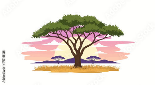 African Acacia Tree Landscape at Sunset Vector Illustration Peaceful Nature Depiction