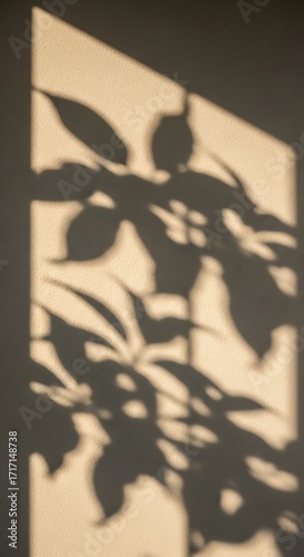 Shadowy Plant Leaves on a Light Beige Surface.