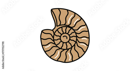 Isolated vector drawing of an ammonite fossil, suitable for educational and geological content