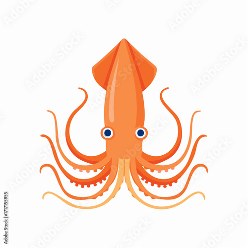 Whimsical Squid A Playful Illustration with Detailed Tentacles on White Background