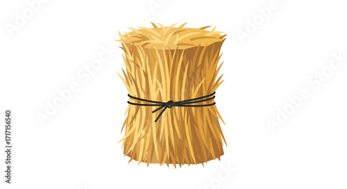 Illustrative sheaf of wheat or hay tied with a black string on a white background
