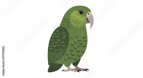 Green Kākāpō Illustration on a White Background Showcasing New Zealand's Unique Wildlife