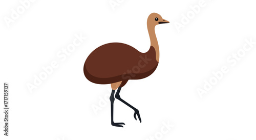 Cartoon vector illustration of a brown emu isolated on a white background posing naturally for
