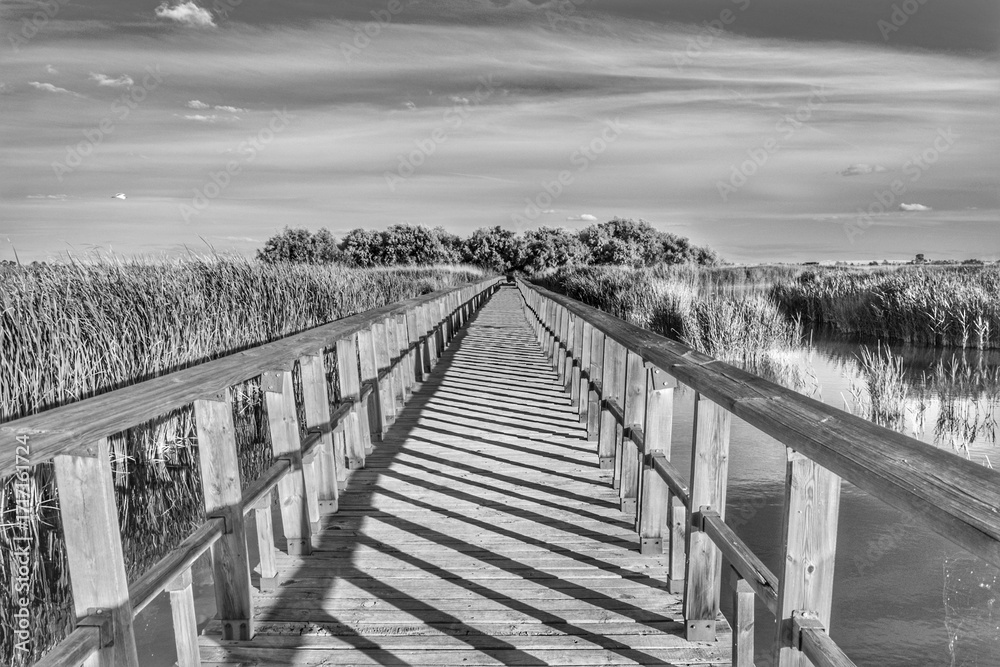 Obraz premium Pasarela de madera en la naturaleza, blanco y negro. Parque Nacional de las Tablas de Daimiel. Ciudad Real. España.