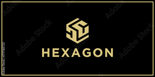 DC hexagon logo design inspiration	
