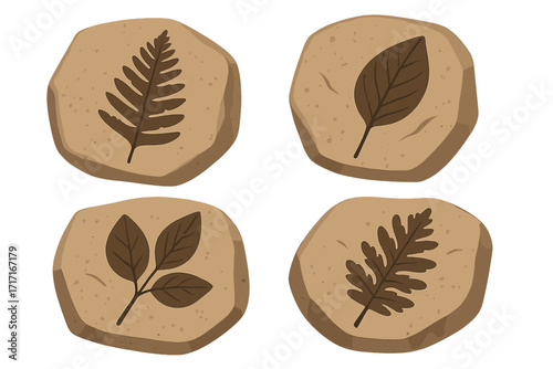 Prehistoric botanical fossils with detailed leaf prints on stones, paleobotany archaeology finds, ancient plant impressions, flat vector illustration isolated on white background