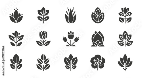 Vector Icons Set of Minimalist Abstract Flower and Leaf Glyph Icon Set for Logos. EPS Editable