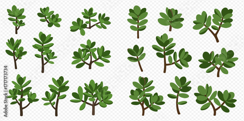 Collection of stylized green leafy plant branches and small bushes on a transparent background.