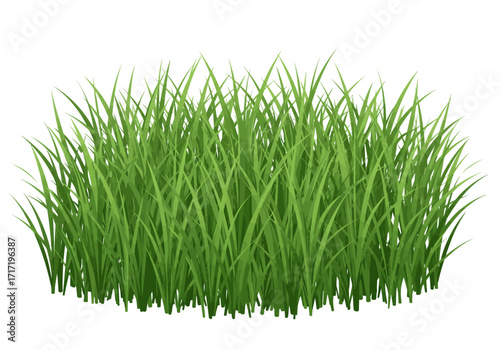 Lush Green Grass Clump Vibrant Blades Natural Texture Fresh Growth.