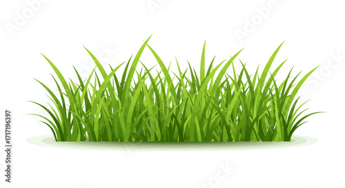 Lush Green Grass Blades Vibrant Spring Meadow Illustration.