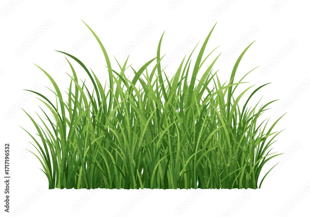 Obraz premium Lush Green Grass Illustration with Detailed Blades and Texture 2.