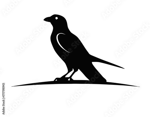 Bird Silhouette logo with white backgroun