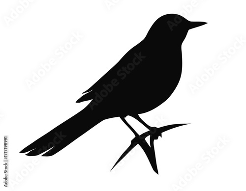 Bird Silhouette logo with white backgroun