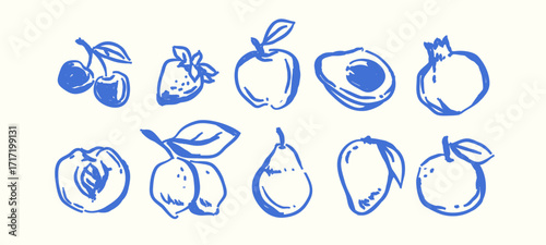 Fruit in Hand-drawn style set , Drawing of food elements for design menu label packaging . icons vector illustration	
