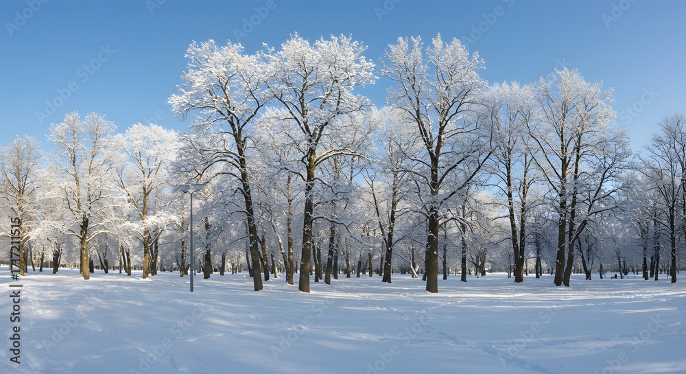 Fototapeta premium Snowy forest landscape
