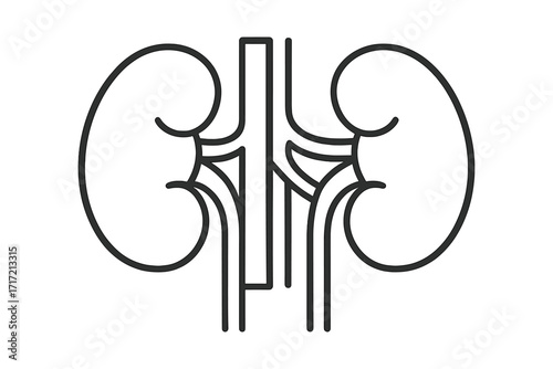 Kidney linear icon, urology and nephrology symbol. Human urinary system anatomy. Internal organ vector illustration for healthcare, medicine, dialysis, or transplant concepts.