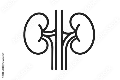 Kidney icon. Urology and nephrology symbol. Linear outline vector logo for medical concepts. Human organ anatomy for healthcare, renal care, dialysis, transplant, urinary system.