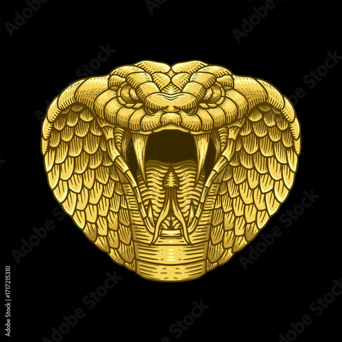Golden cobra illustration in detailed hand drawn engraving style