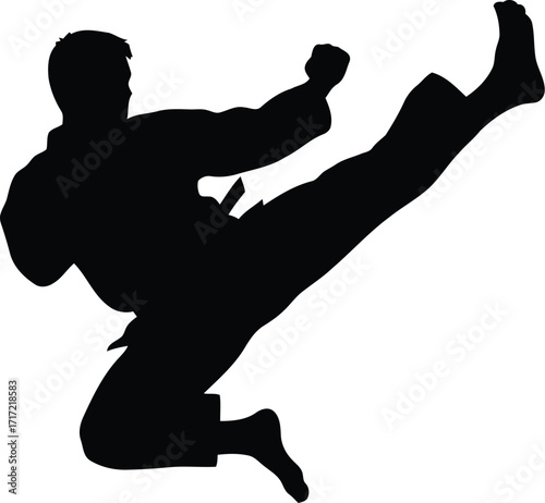 Dynamic silhouette of a martial artist performing a powerful karate kick in action vector