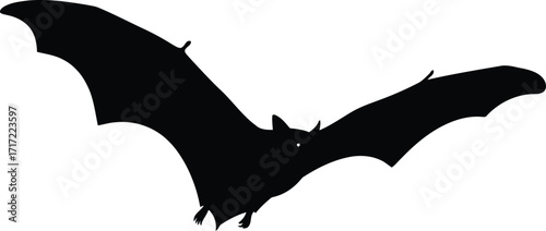 Mysterious bat silhouette flying in dark sky for halloween and spooky night themes vector