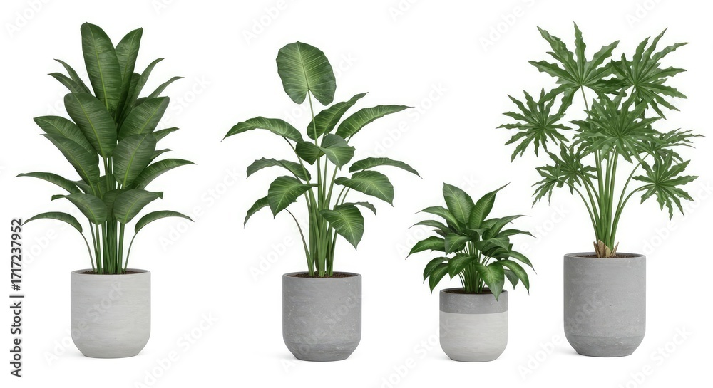 Fototapeta premium Realistic Rendered Indoor Plant Assortment in Gray Concrete Pots Still Life