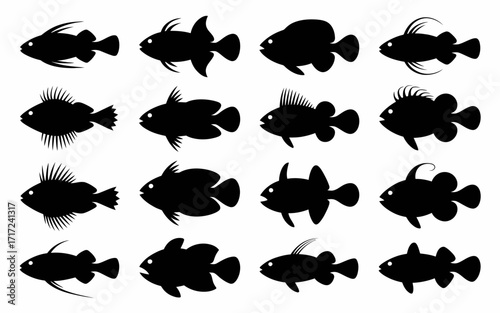 Vector art of silhouetted tropical fish pattern, various species in black