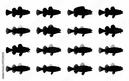 Vector art of silhouettes of haddock fish swimming