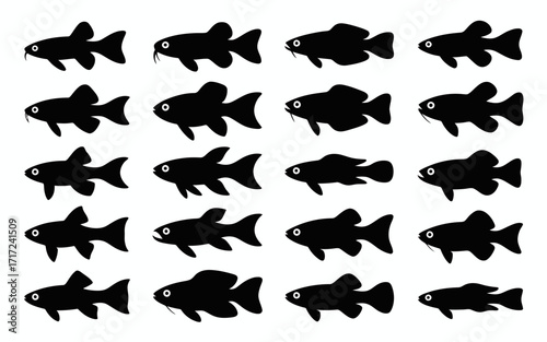 Vector art of silhouette of various danio fish species