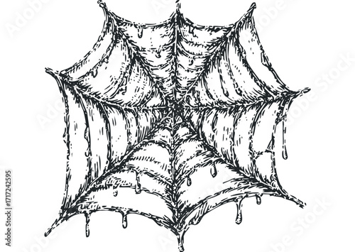 Sketchy spider web with dripping dew on. Vector hand drawn