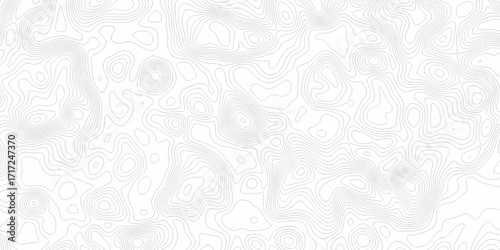 Minimal white line geometric grid outline curve counter map and wavy topography relief discovery area white, black line texture background.	
