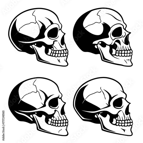 Black and white human skulls bone