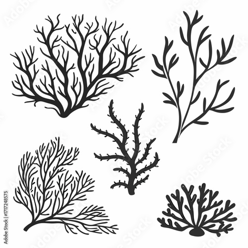 Black coral and seaweed silhouettes marine life ocean