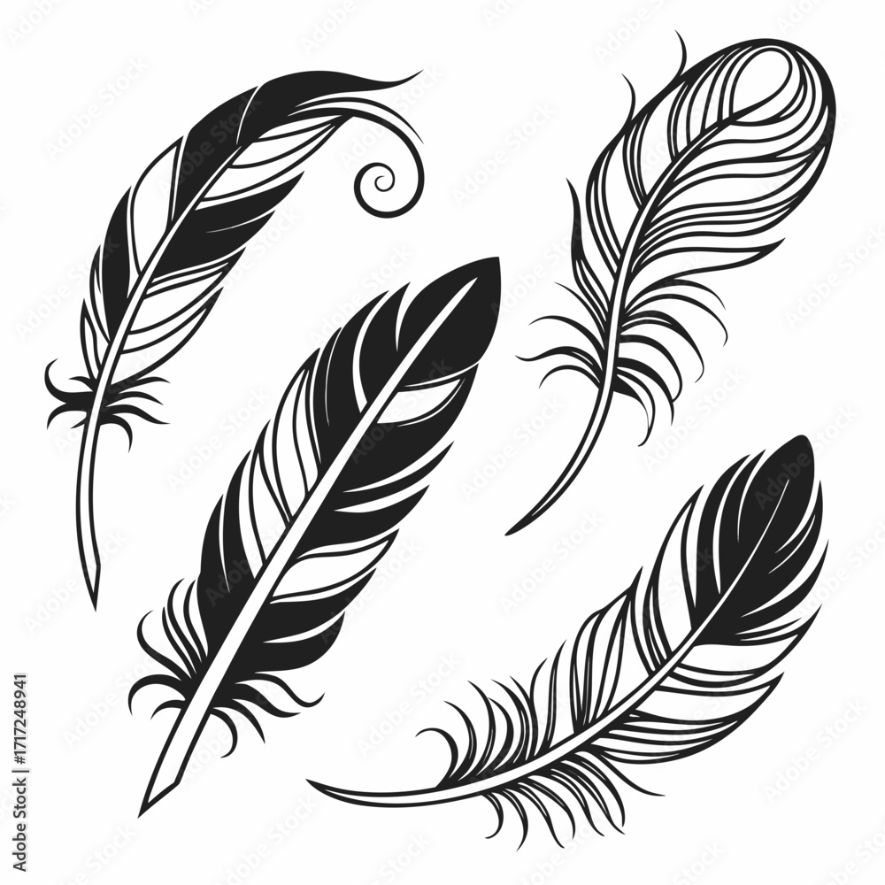 Obraz premium Black feather illustrations on white background bird feather
