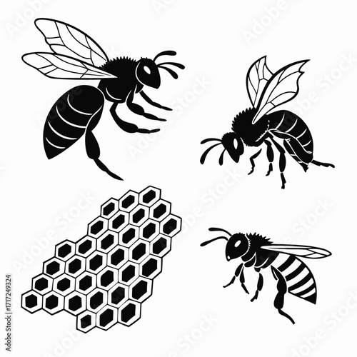 Black honey bees and honeycomb pattern insect hive