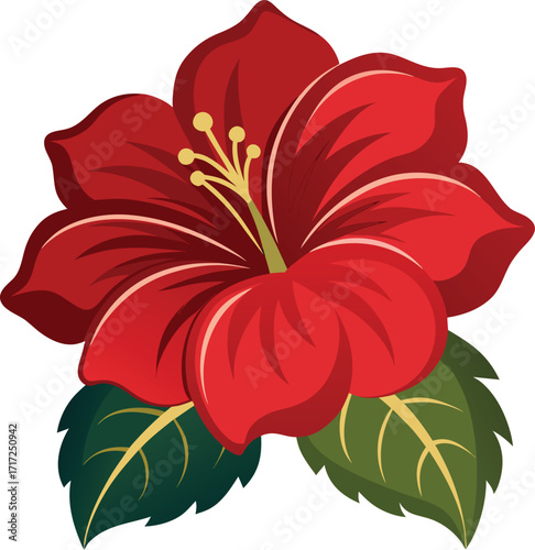 Exotic deep red hibiscus flower illustration on white background