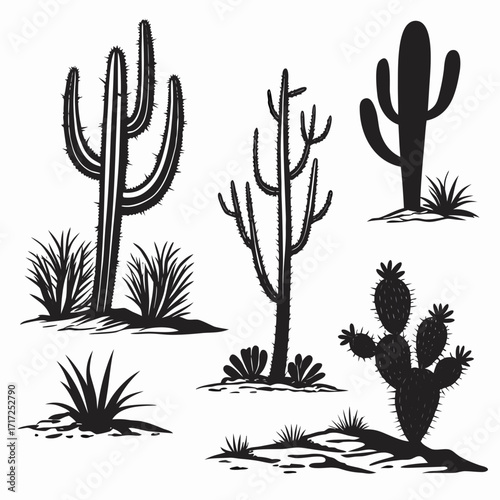 Desert cacti silhouettes with sparse vegetation cactus