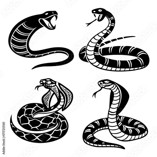 Four black snake silhouettes striking coiled cobra