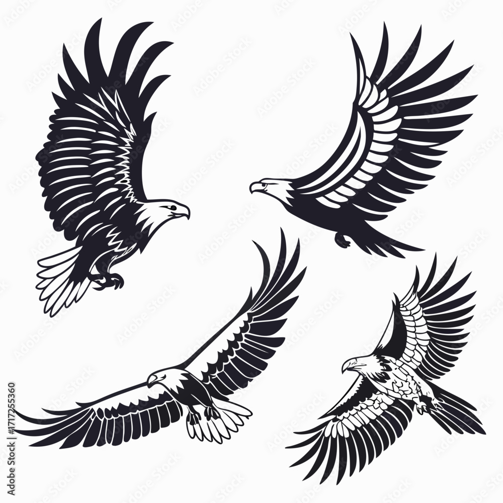 Fototapeta premium Four eagles in flight bird flying