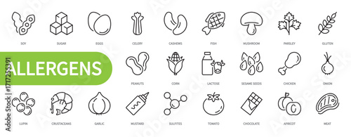 Allergens food icon set. Soy, sugar, eggs, celery, fish, meat, onion, gluten, lactose, sesame seeds, chicken, lupin, crustaceans, mustard, sulfites, tomato, etc. Vector illustration. Editable stroke.	