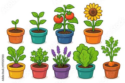 Garden plants in colorful pots vector set. Vegetable, flower, herb cartoon illustration collection. Growth stages from seedling to harvest. Tomato, sunflower, carrot, lavender.