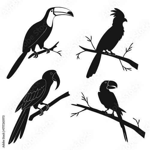 Toucan parrot cockatoo silhouettes perched bird