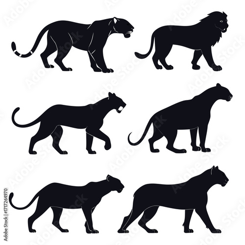 Photography Wild cats silhouettes black panther