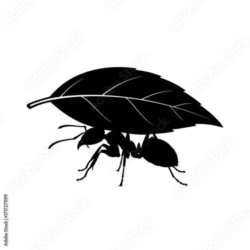 Focused Vector Silhouette of a Worker Ant Carrying a Fragment of a Leaf Determined