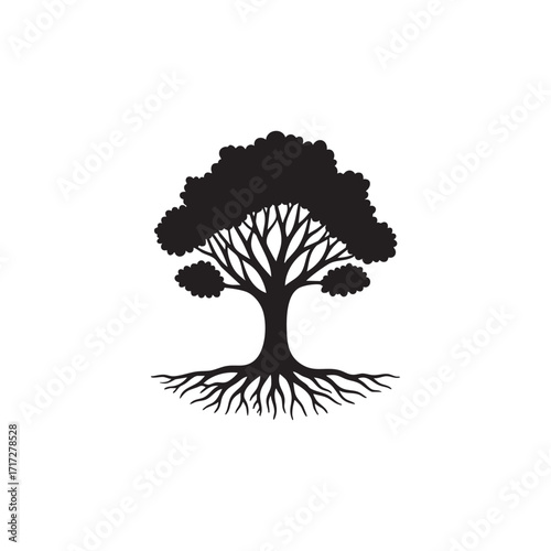 Black silhouette of a detailed tree with exposed roots isolated on white background silhouette