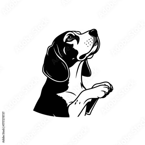 Engaging Silhouette of an Affectionate Beagle Dog in a Begging Pose Cute Pet