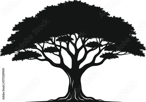 Stylized black silhouette of large tree with thick trunk, broad canopy, and visible roots isolated on white background for vector design